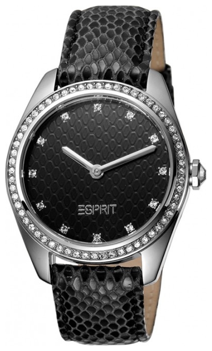 Wrist watch Esprit ES103092005 for women - picture, photo, image