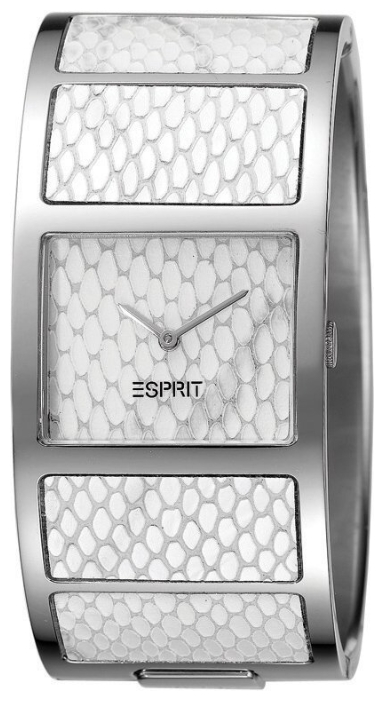 Wrist watch Esprit ES103102001 for women - picture, photo, image