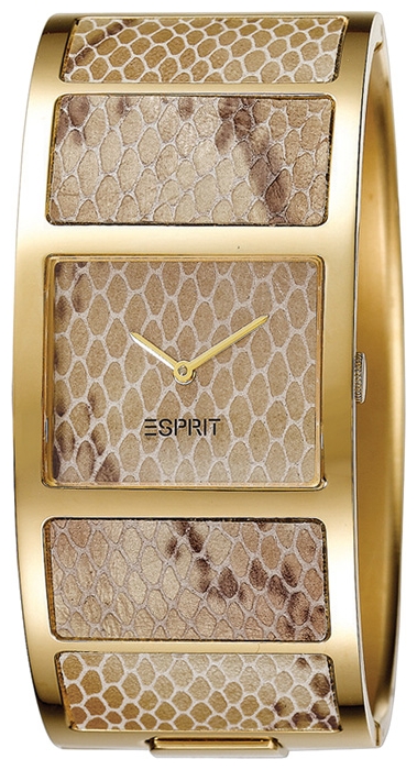 Wrist watch Esprit ES103102003 for women - picture, photo, image