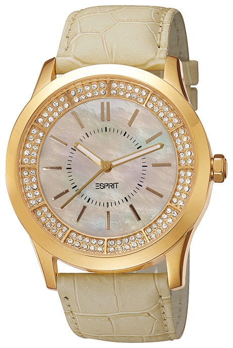 Wrist watch Esprit ES103812005 for women - picture, photo, image