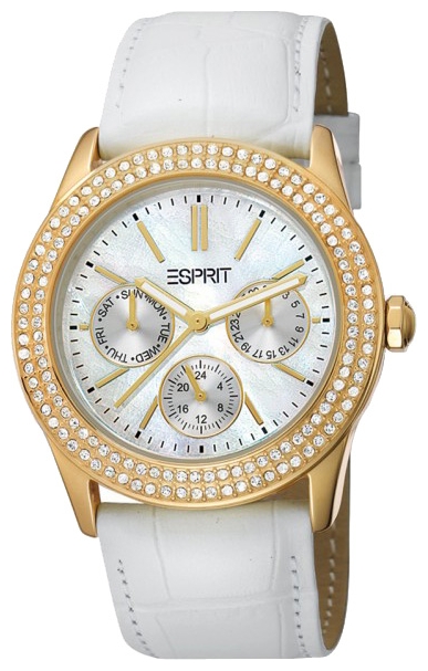 Wrist watch Esprit ES103822007 for women - picture, photo, image