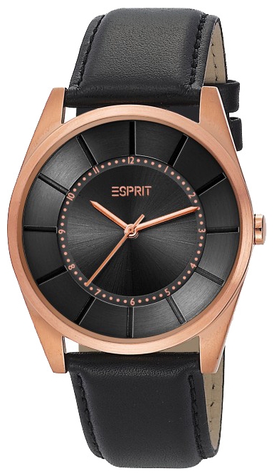 Wrist watch Esprit ES104201004 for Men - picture, photo, image