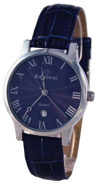 Wrist watch EverSwiss 2416-GZBR for men - picture, photo, image