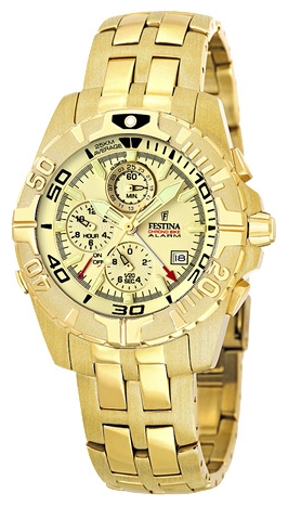 Wrist watch Festina F16119/4 for Men - picture, photo, image