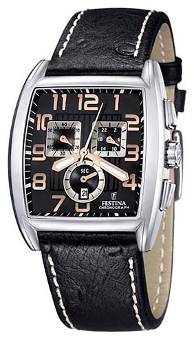 Wrist watch Festina F16293-6 for Men - picture, photo, image