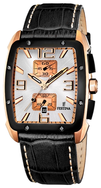 Wrist watch Festina F16356/1 for Men - picture, photo, image