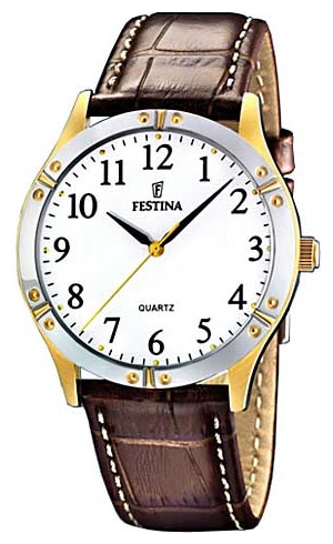 Wrist watch Festina F16372/2 for Men - picture, photo, image