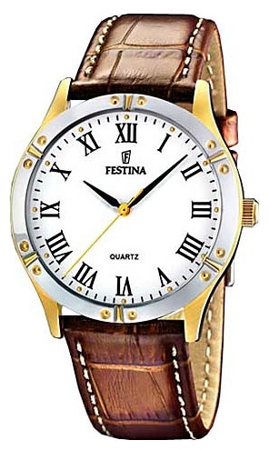 Wrist watch Festina F16372/3 for Men - picture, photo, image