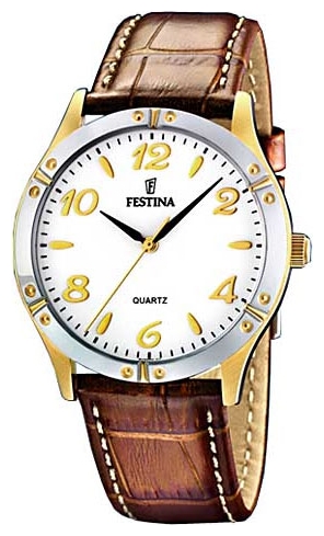 Wrist watch Festina F16372/4 for Men - picture, photo, image