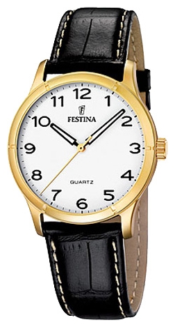 Wrist watch Festina F16452/2 for men - picture, photo, image