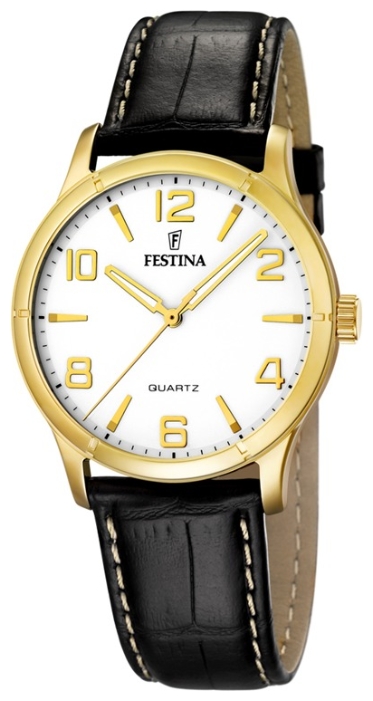 Wrist watch Festina F16452/3 for men - picture, photo, image