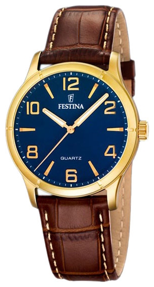 Wrist watch Festina F16452/4 for men - picture, photo, image