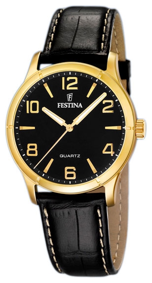 Wrist watch Festina F16452/5 for men - picture, photo, image