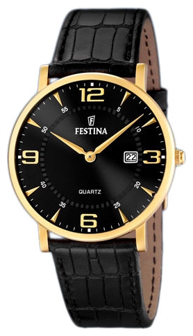 Wrist watch Festina F16478/4 for Men - picture, photo, image