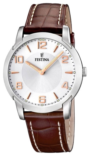 Wrist watch Festina F16506/5 for Men - picture, photo, image