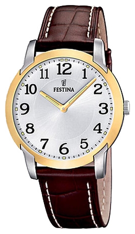 Wrist watch Festina F16508/1 for Men - picture, photo, image