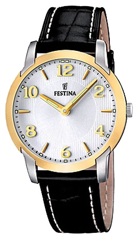 Wrist watch Festina F16508/2 for Men - picture, photo, image