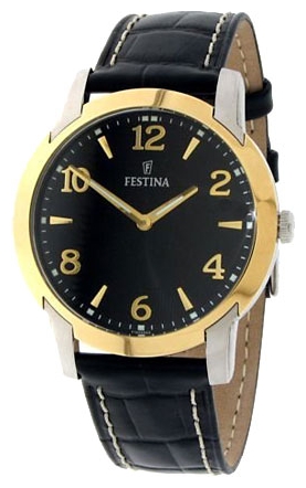 Wrist watch Festina F16508/3 for Men - picture, photo, image