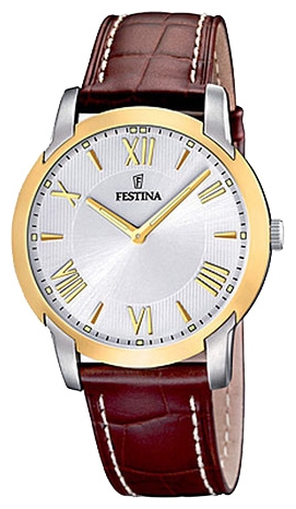 Wrist watch Festina F16508/5 for Men - picture, photo, image