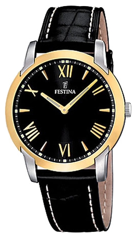 Wrist watch Festina F16508/6 for Men - picture, photo, image