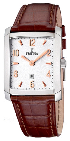 Wrist watch Festina F16512/4 for Men - picture, photo, image