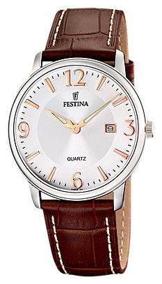 Wrist watch Festina F16516/4 for Men - picture, photo, image