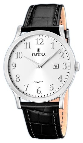 Wrist watch Festina F16520/2 for Men - picture, photo, image