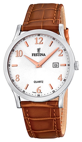 Wrist watch Festina F16520/5 for Men - picture, photo, image