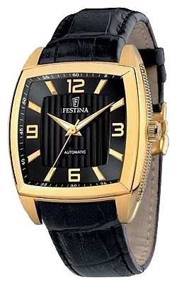 Wrist watch Festina F6754/B for Men - picture, photo, image