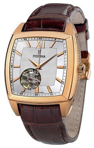 Wrist watch Festina F6799/1 for Men - picture, photo, image