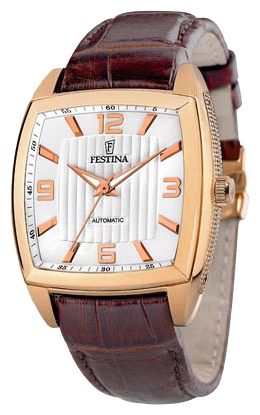 Wrist watch Festina F6799/A for Men - picture, photo, image