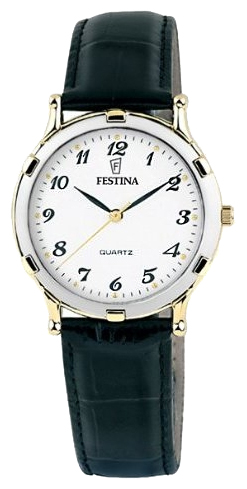 Wrist watch Festina F8600/8 for Men - picture, photo, image