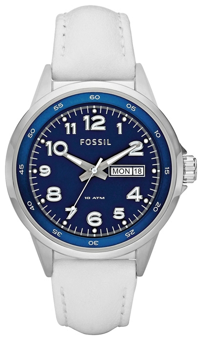Fossil AM4361 pictures