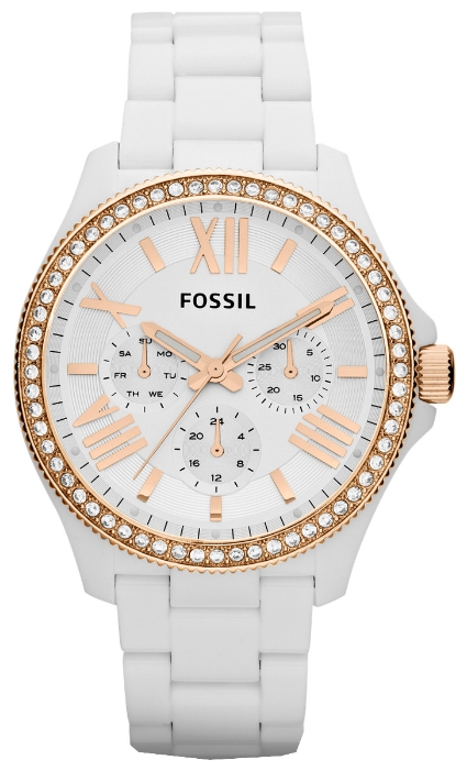 Fossil AM4492 pictures