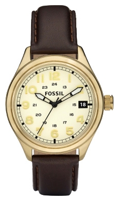Wrist watch Fossil DE1001 for Men - picture, photo, image