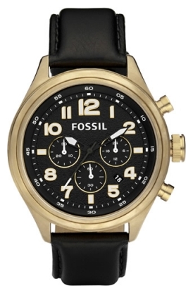 Wrist watch Fossil DE5000 for men - picture, photo, image
