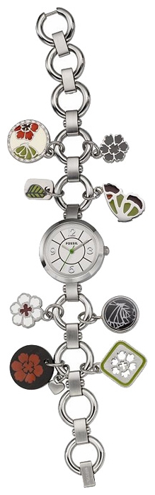 Wrist watch Fossil ES2501 for women - picture, photo, image