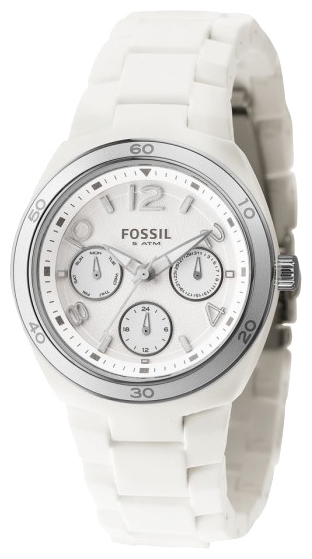 Fossil ES2520 pictures