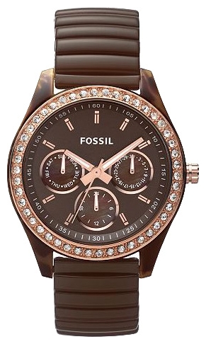 Fossil ES2974 pictures