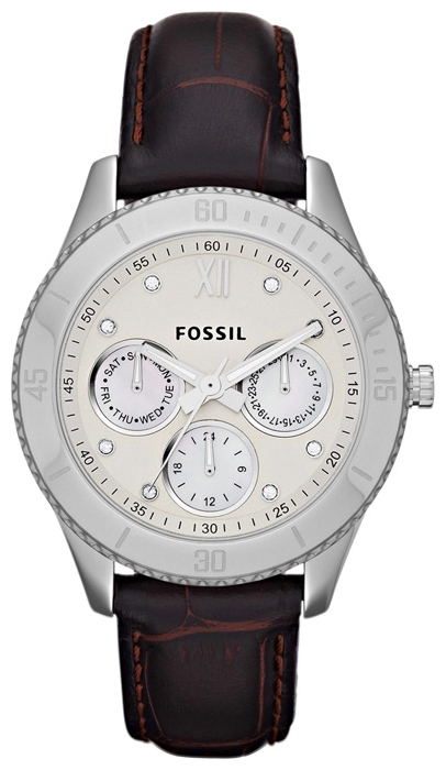 Wrist watch Fossil ES3103 for women - picture, photo, image