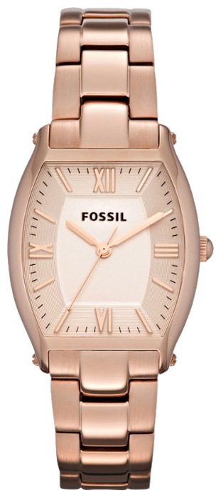 Fossil ES3120 pictures