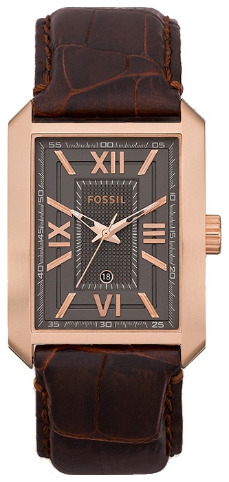 Fossil FS4653 pictures