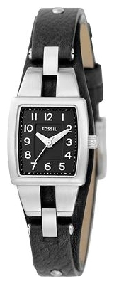 Wrist watch Fossil JR1114 for women - picture, photo, image