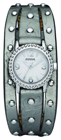 Wrist watch Fossil JR1179 for women - picture, photo, image