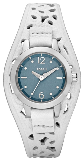 Wrist watch Fossil JR1259 for women - picture, photo, image