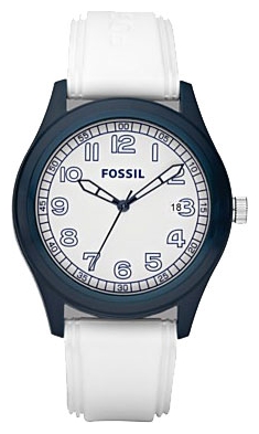 Fossil JR1297 pictures