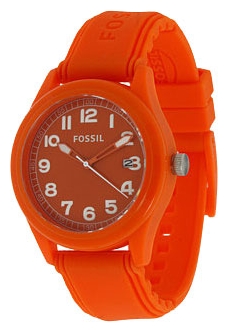 Wrist watch Fossil JR1300 for Men - picture, photo, image