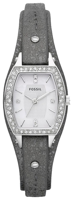 Wrist watch Fossil JR1335 for women - picture, photo, image
