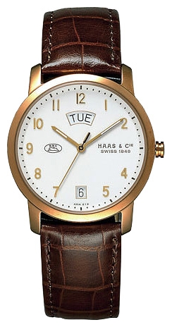 Wrist watch Haas AKH212RSA for Men - picture, photo, image