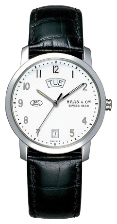 Wrist watch Haas AKH212ZWA for Men - picture, photo, image